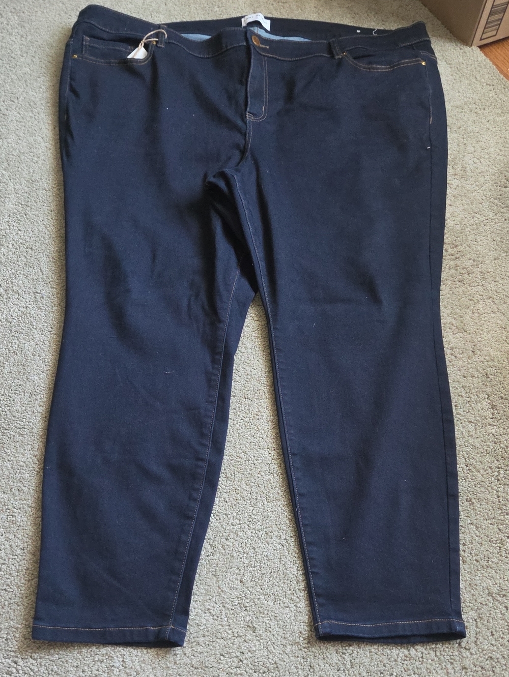 Lane Bryant Dark Navy Jeggings